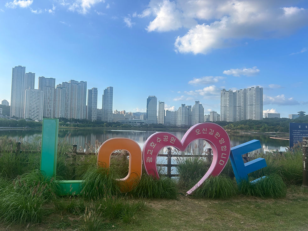 Autumn Lake Walk & Talk - Suwon