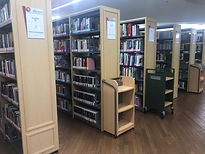 Library 4.jpeg