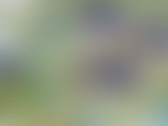 Map of Jurong Lake District