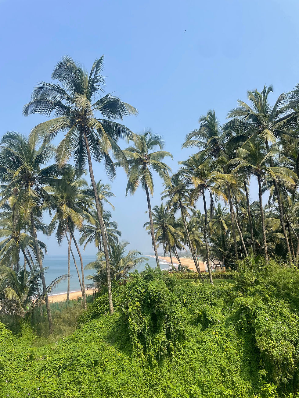 India Travelogue Part 1: Goa