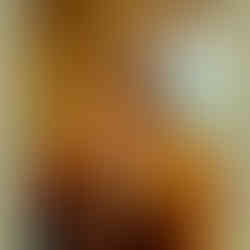 Energetische Reinigung mit Mapacho (Nicotiana rustica)