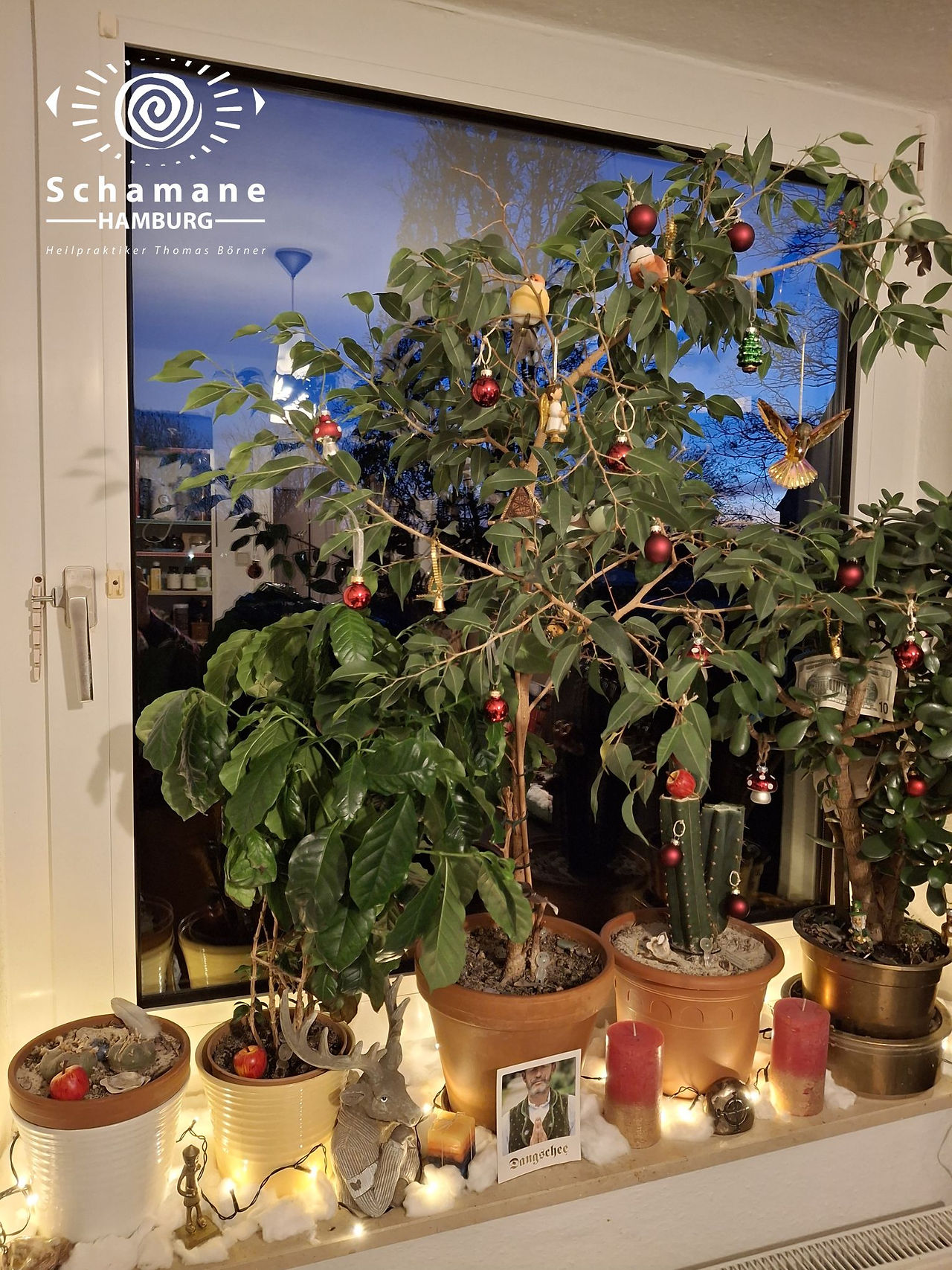 Der schamanische Raum im Glanz der Julzeit