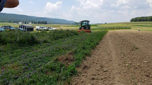 Reduced-Tillage Organic Systems