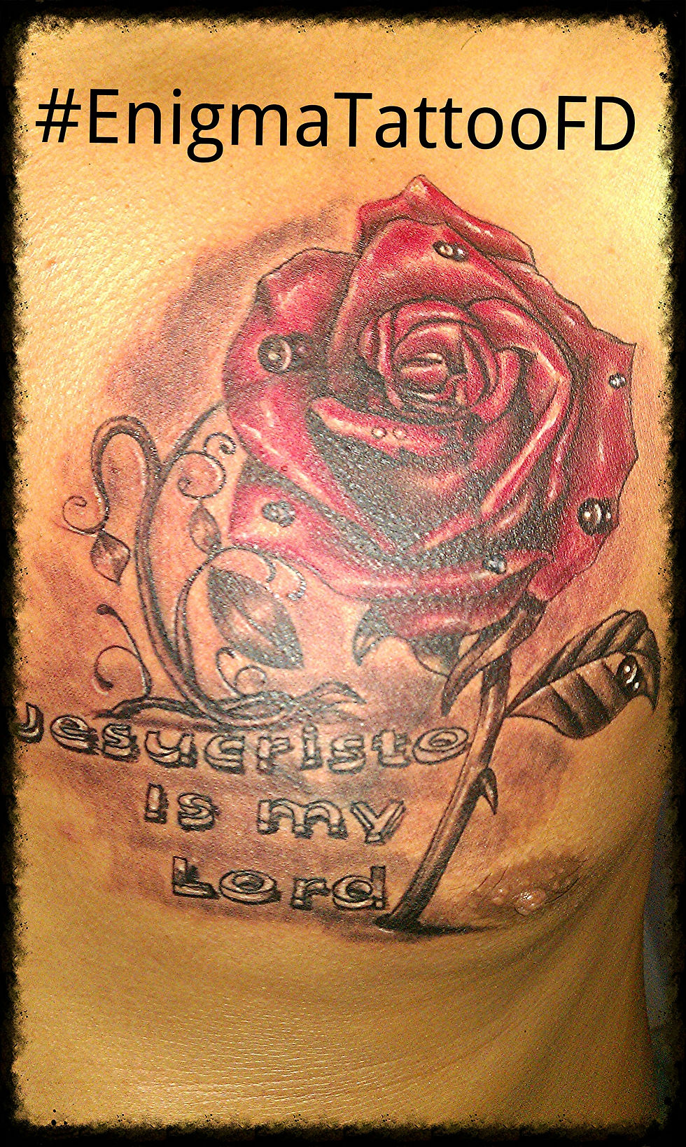 Rosa diseño para hombre.