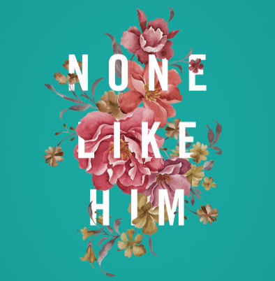 A blue background with pink flowers in the middle, overlayed by large white words stating "None Like Him" the title. This is the cover page of the book.