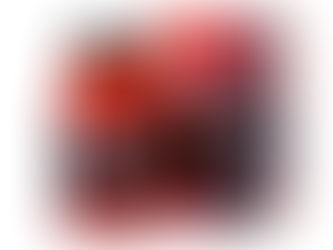 Fat Burn Active Supplement