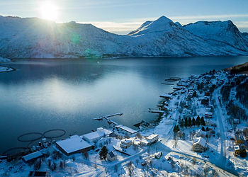 Torsken Brygge (2)-min.jpg