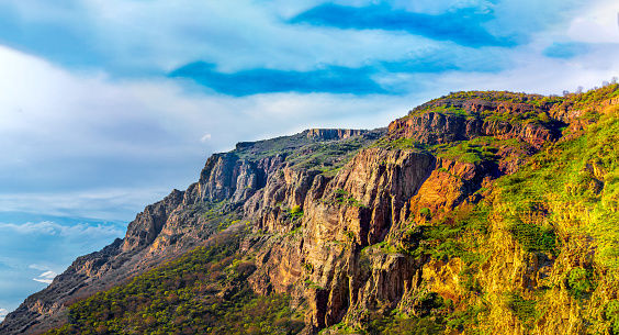 D7B28A29-B288-42DB-94B0-86AF825CDDF6