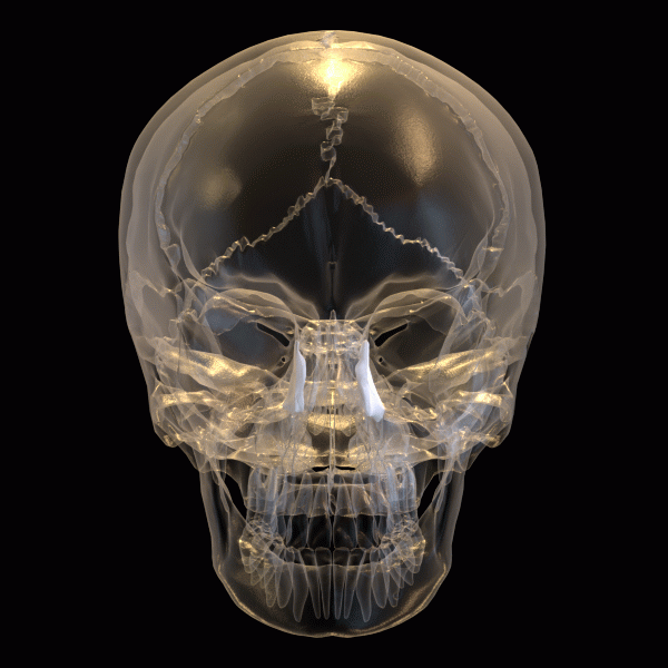 SKULL_ clear skull animation open with b