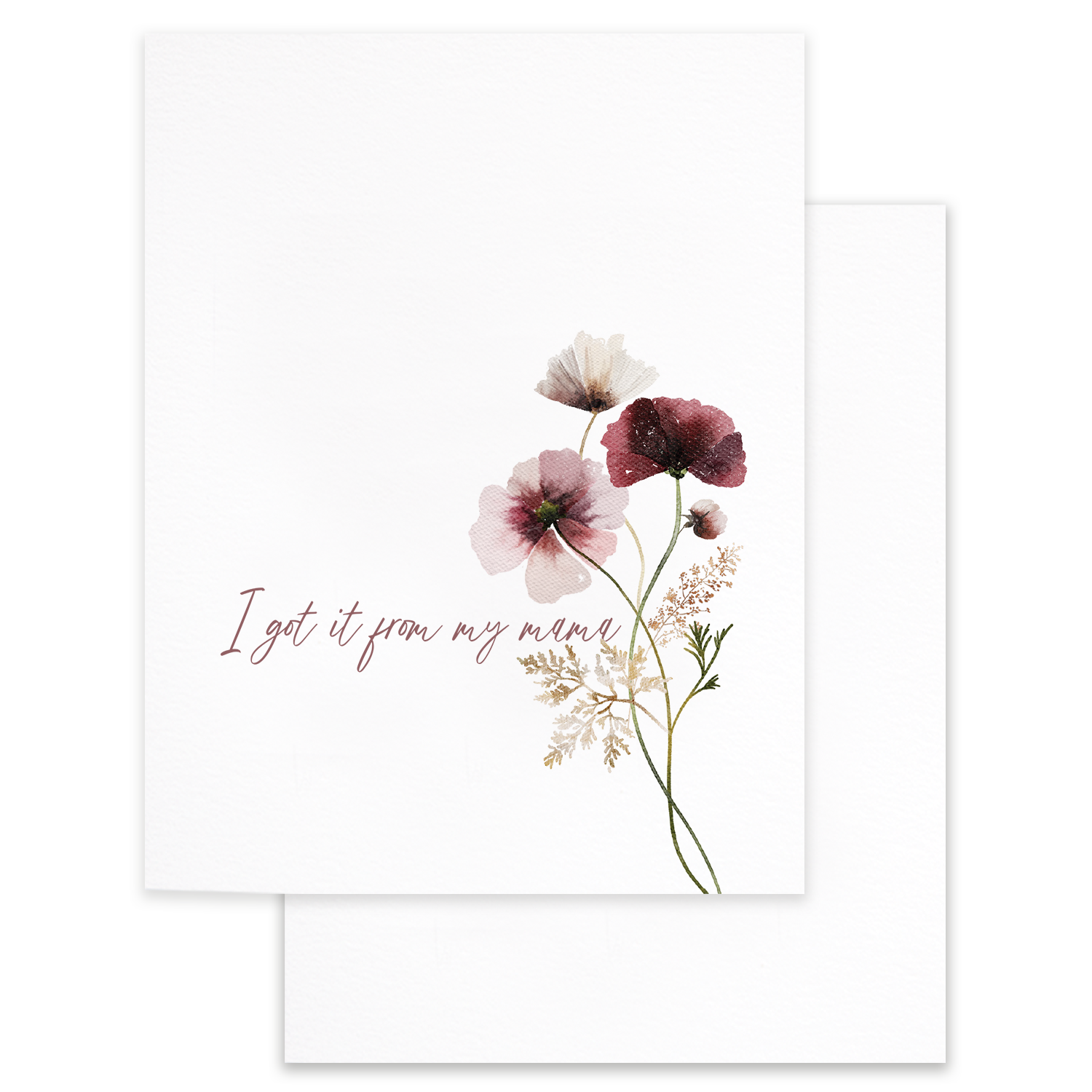 I Got It From My Mama