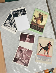 hidden postcard 1.jpg