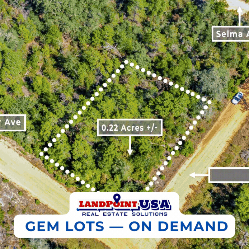 GEM LOTS-ON DEMAND.gif