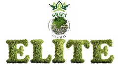ELITE B-.png