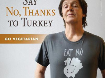 Cruelty Free Thanksgiving: Compassionate celebrities who will skip eating turkey.