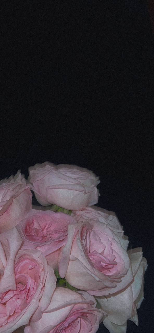 Thumbnail: SUKI . すき