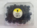 CVBLACKPINTFRONTERA