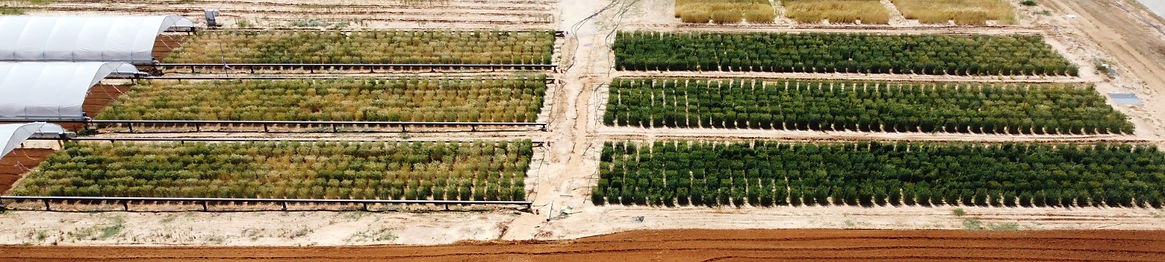 WhatsApp Image 2022-04-17 at 10.51.56.jpeg