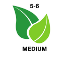 3-4 (15).png