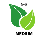 3-4 (15).png