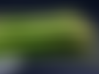 Spring Asparagus for Dynamic Ageing