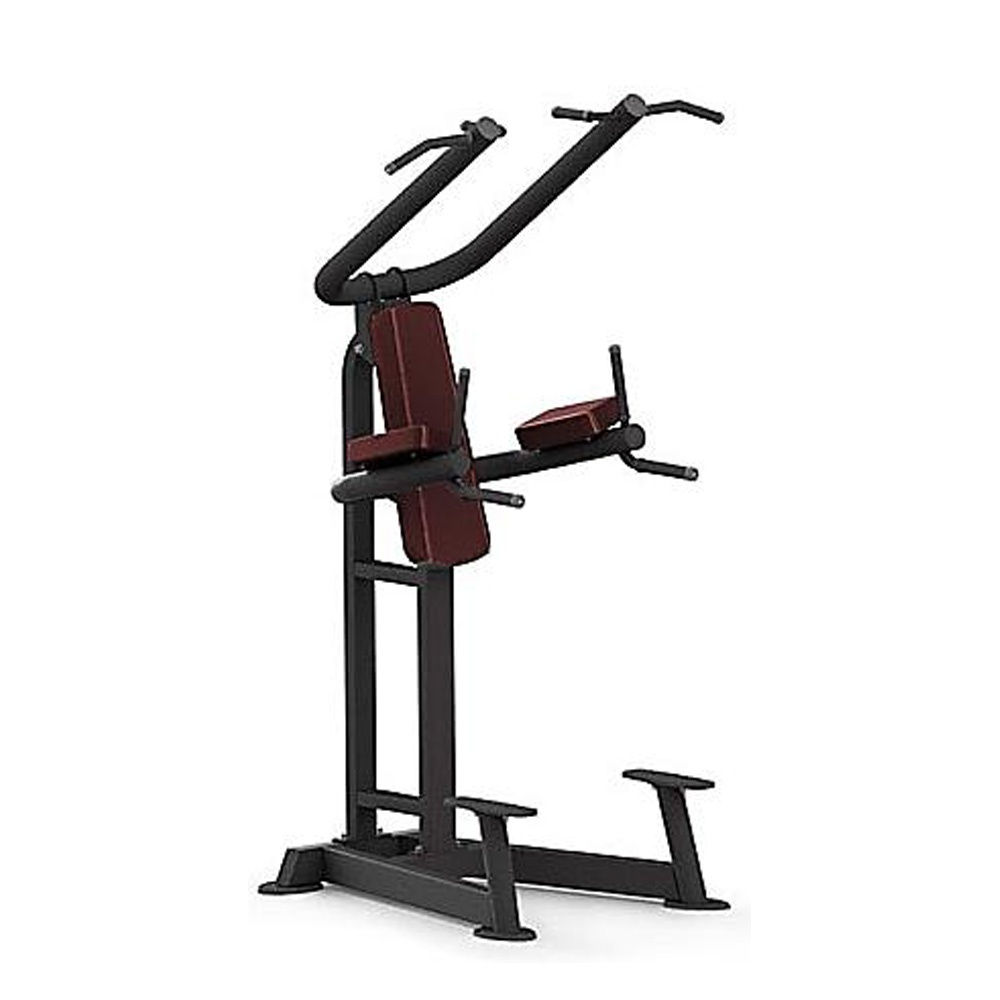 FEX FITNESS PTT0219 Chin Dip