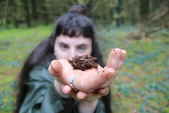 Mycellium, the source of life