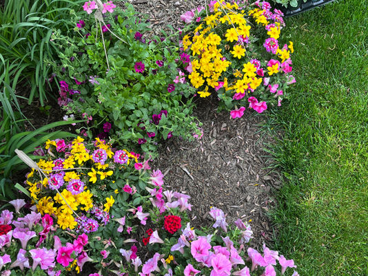 Spring Is Almost Here — Order Your Flowers from the WTGC Spring Sale