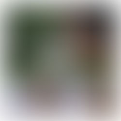 The Day Spa at Hair Plus Ladies Night to benefit Dance for the Cure