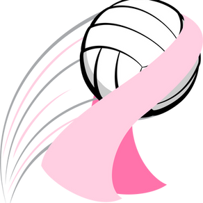 Hillsborough High Girls Volleyball Serves!