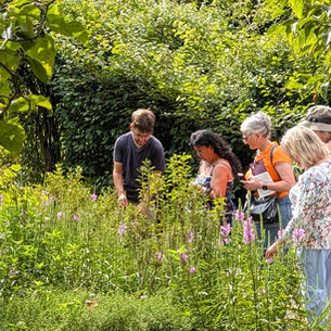 WTGC Visits the Gardens of Andalusia