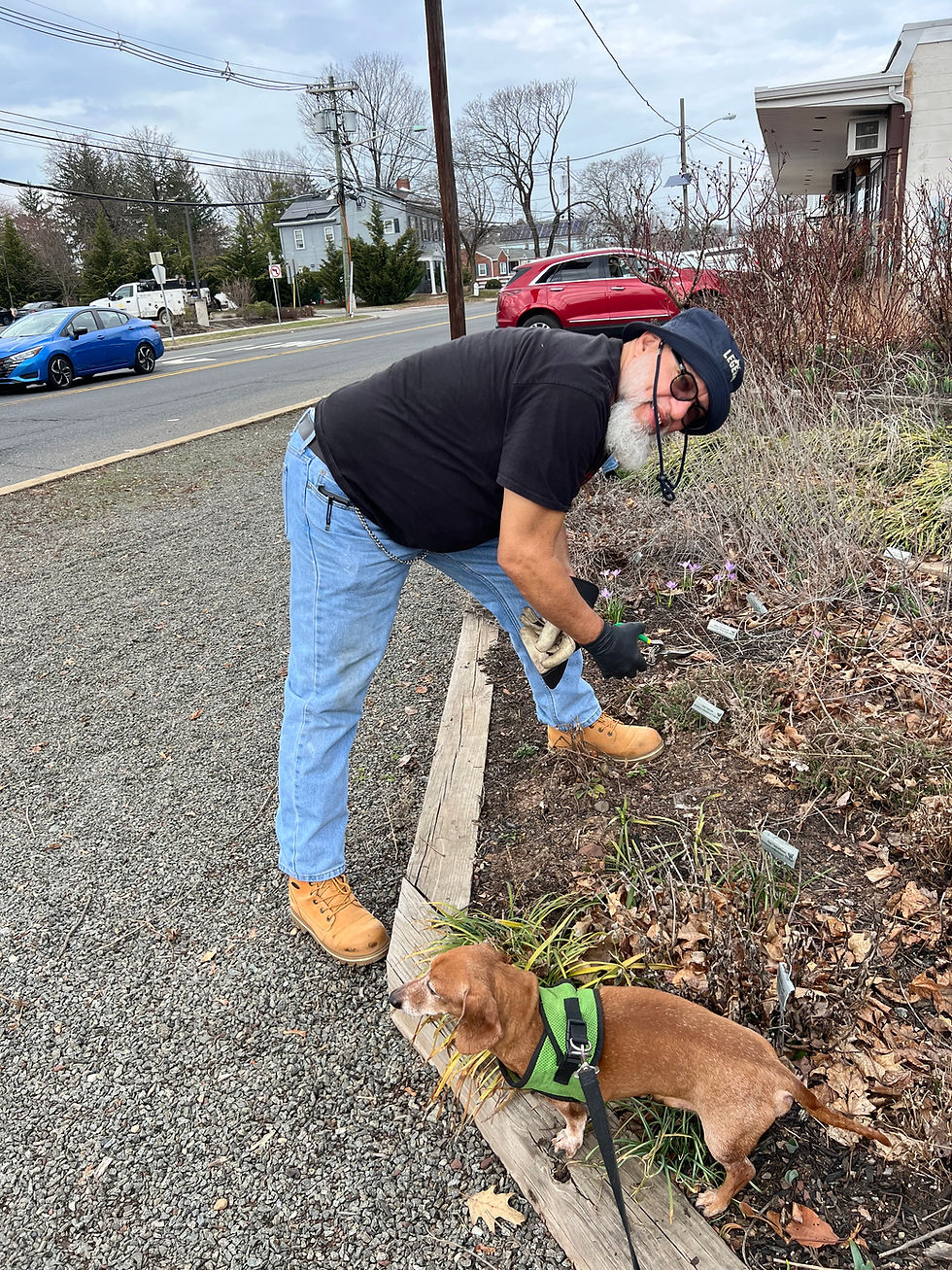 Spring Cleaning Begins at Birmingham Park