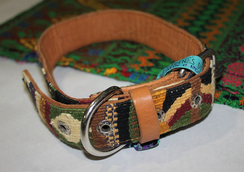 Miniatura: Collar de perro