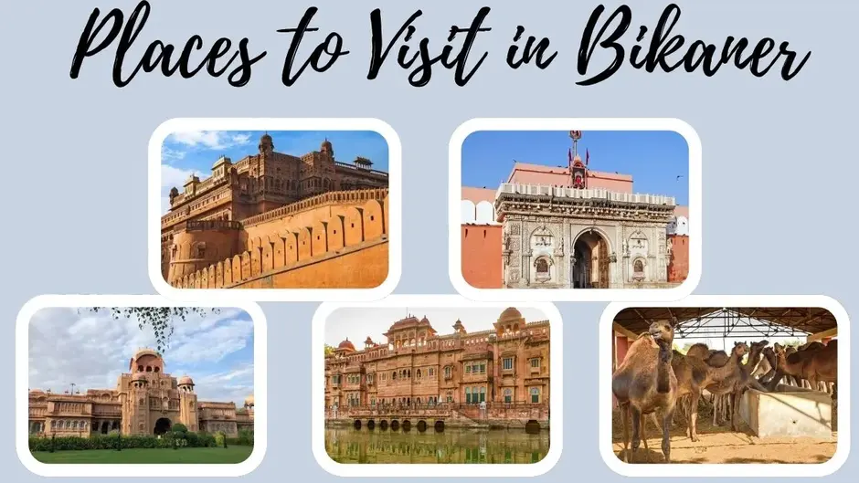5 Places to Visit in Bikaner, Rajasthan