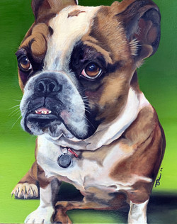 Stacey Biro Dog Paintings Portfolio Stacey Biro Dog Paintings Portfolio