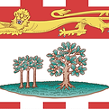 PE FLAG.PNG