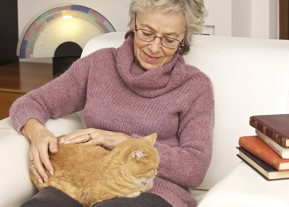 Pet Project Midwest Home