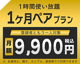 ペア料金月額9900円