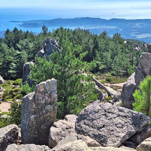 In Corsica