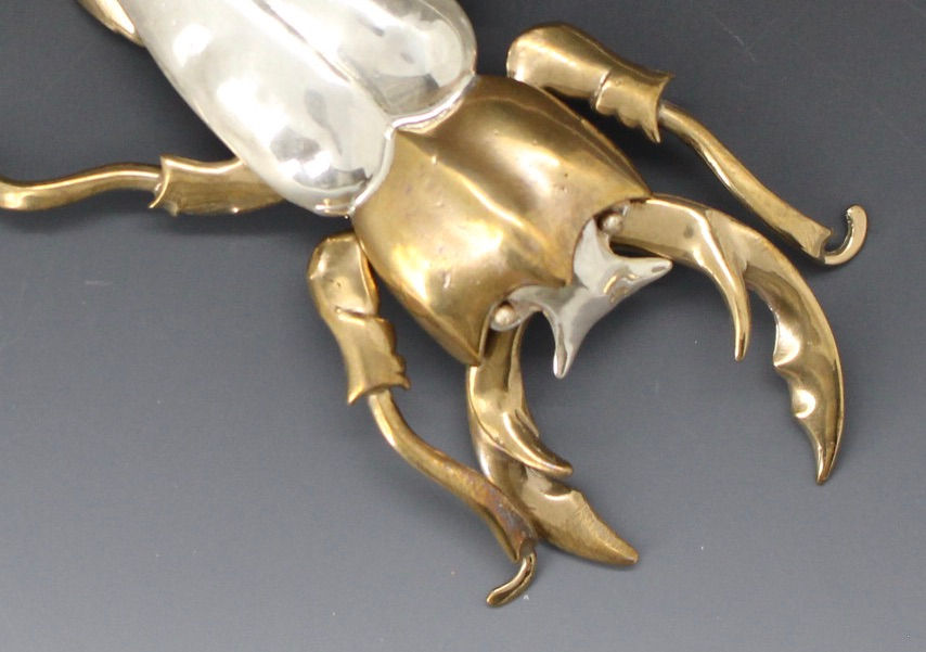 Thumbnail: Stag Beetle