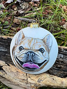 image of pet portrait on ornament