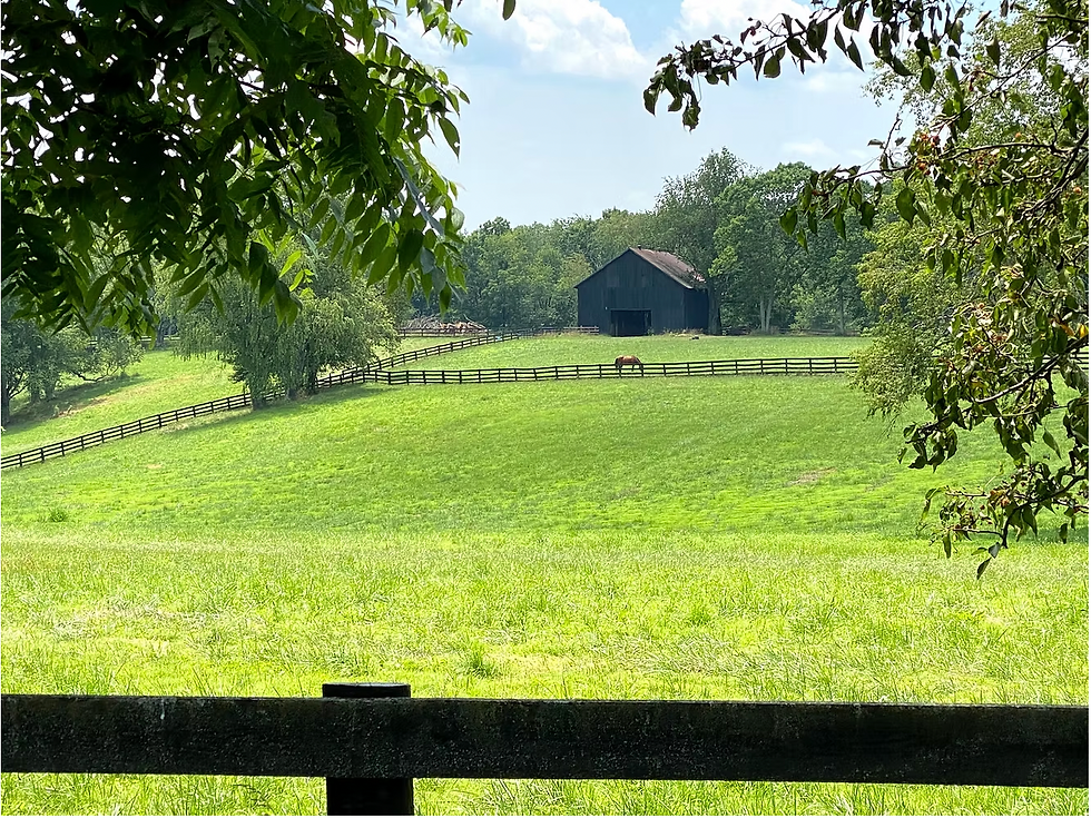 Washington County Republican Party Kentucky Landscape