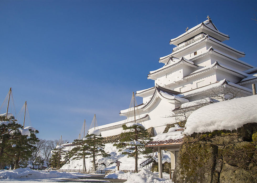 file20201013151737-4d299bf.jpg