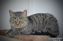 Chat 1 (10)