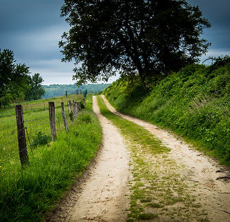 Paysage Couleur 1 (4).jpg