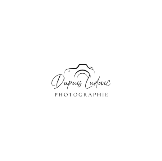 Logo_Dupuis_3-removebg-preview_edited.pn