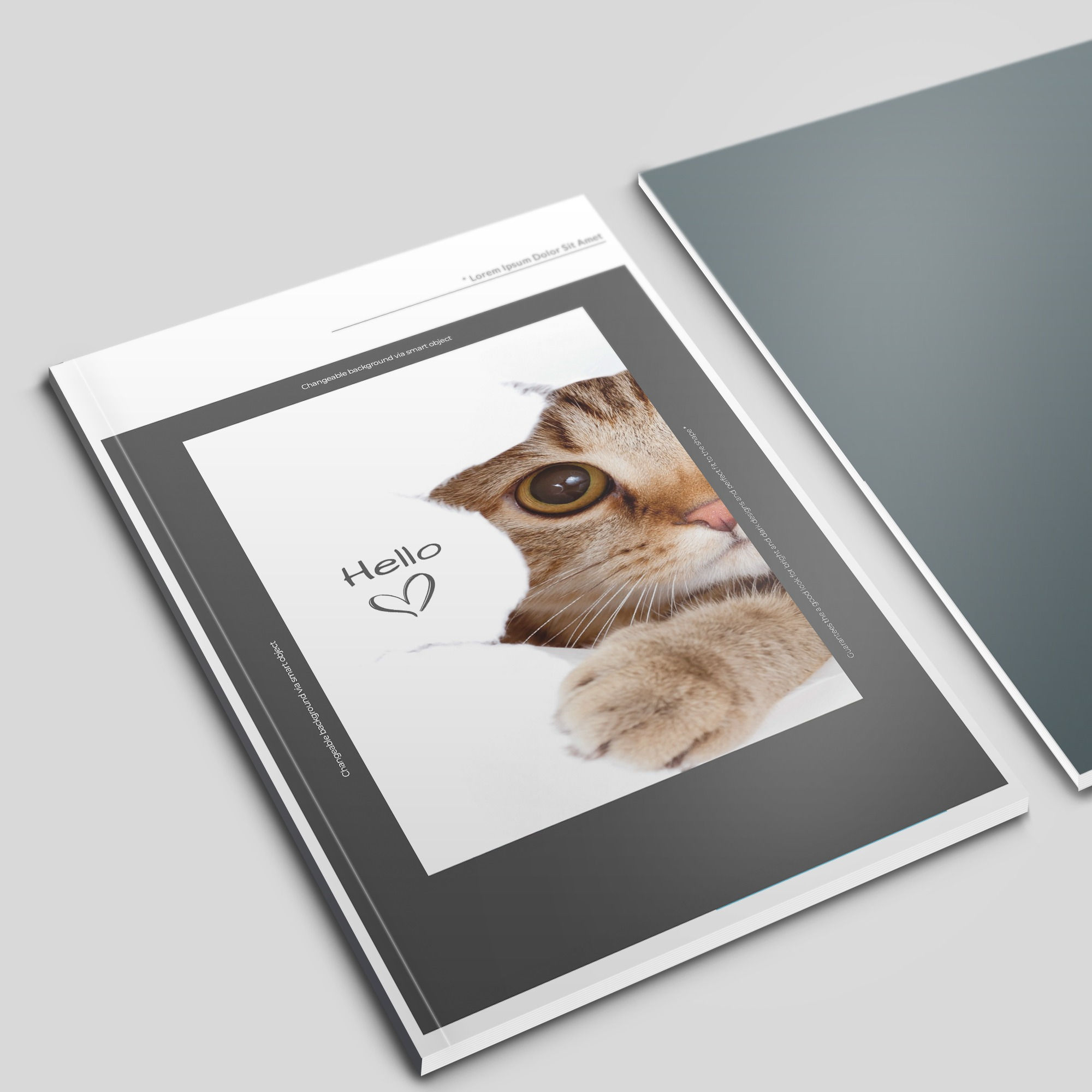 完美装订 A4 小册子 350GSM 封面，150GSM 内页