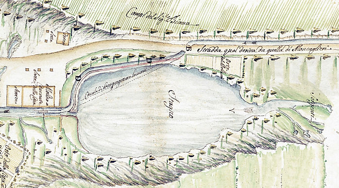 Stagno della Molinetta