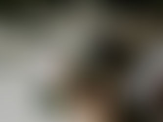 A centelha asiática (Centella asiatica), também conhecida como Gotu Kola ou Tiger Grass, é uma planta medicinal da família Apiaceae, originária de regiões tropicais da Ásia, África e Oceânia. O nome erva-do-tigre surge de relatos de tigres feridos que rolavam sobre a planta para favorecer a cicatrização.