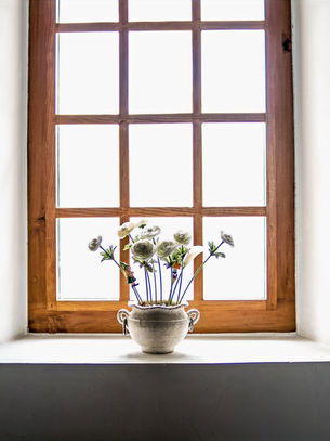 Windows of Opportunity: The Comprehensive Guide to Boosting Efficiency and ROI with Windows