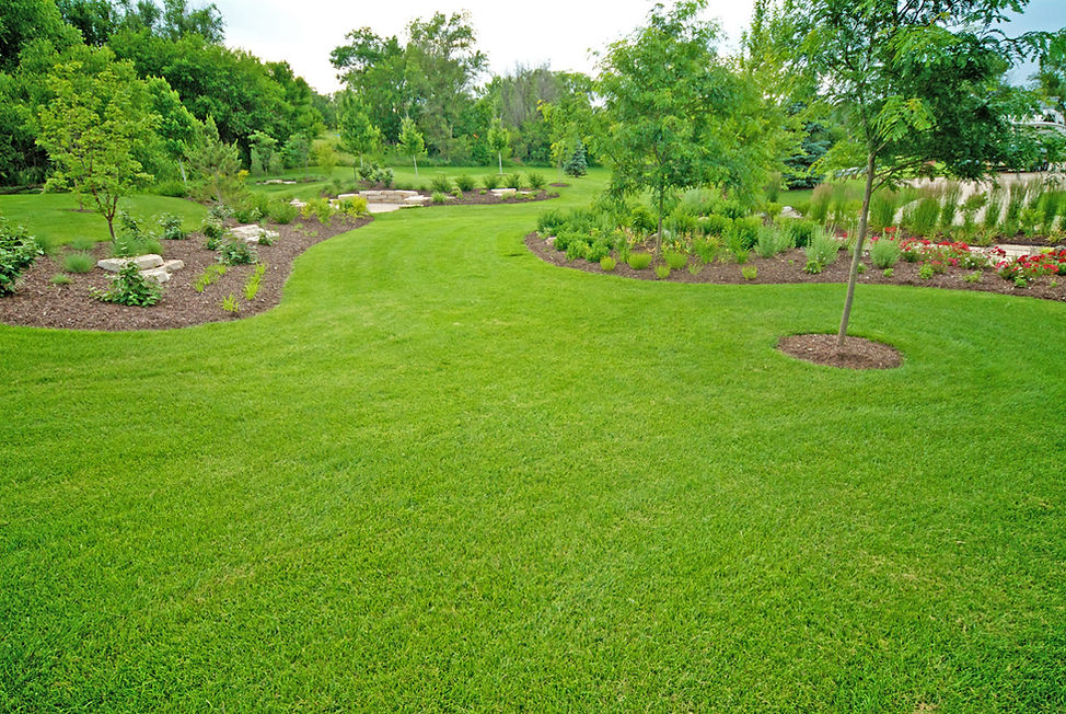 greenlife-gardens-omaha-landscaper.jpg